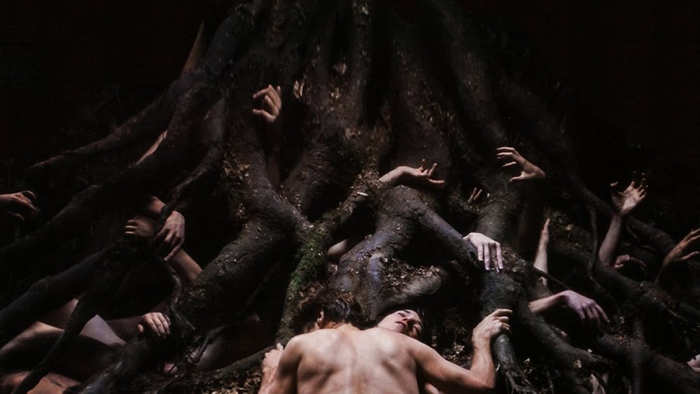 反基督者,Antichrist(2009电影)