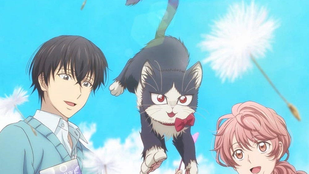 My Roommate is a Cat