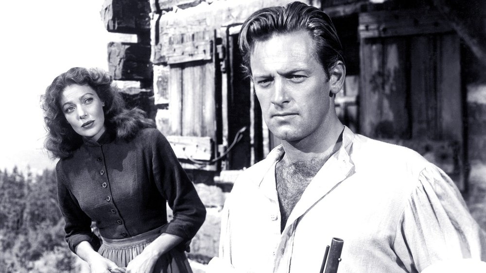 绿野情仇,Rachel and the Stranger(1948电影)