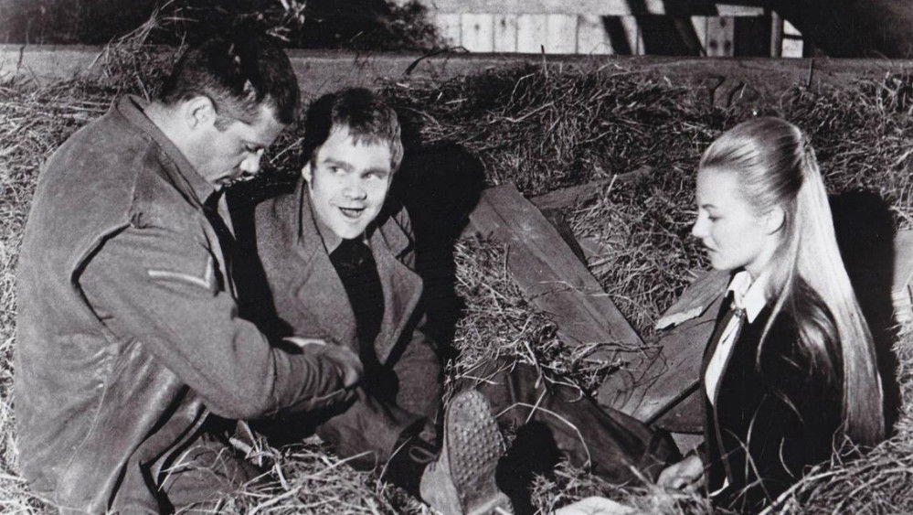 浴血大逃亡,Hannibal Brooks(1969电影)