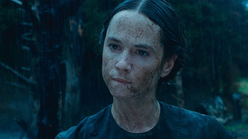 钢琴课,The Piano(1993电影)