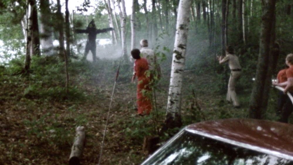 沼泽,Bog(1979电影)