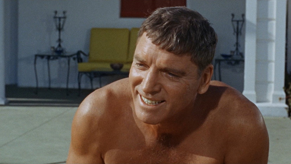 浮生录,The Swimmer(1968电影)