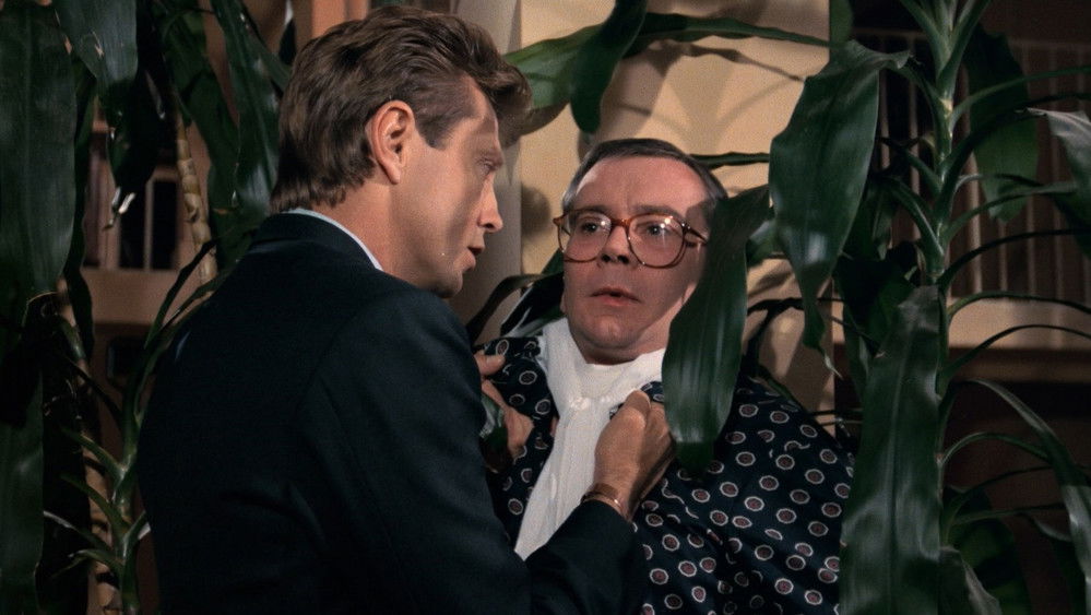 花容劫,Faceless(1988电影)