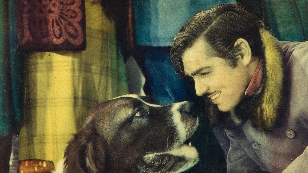 野性的呼唤,Call of the Wild(1935电影)