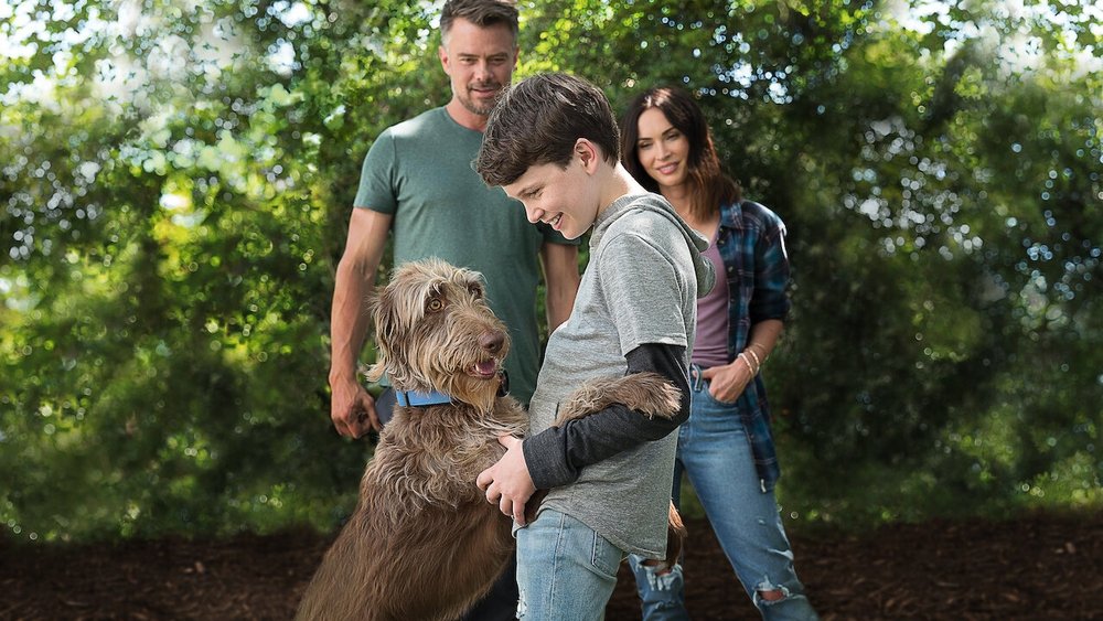 Denke wie ein Hund - Bild: © M Star International / Mad Chance Denke wie ein Hund - © M Star International / Mad Chance