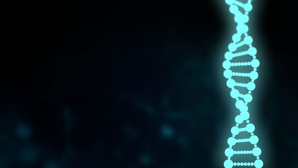 黑色孤儿：回响,Orphan Black: Echoes(2024电视剧集)