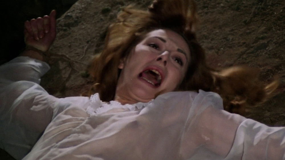 墓地亡灵4：海鸥之夜,La noche de las gaviotas(1975电影)