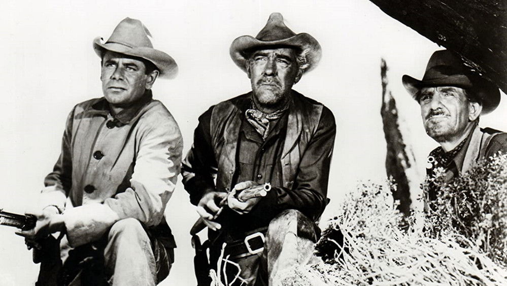 草莽龙蛇,The Violent Men(1955电影)