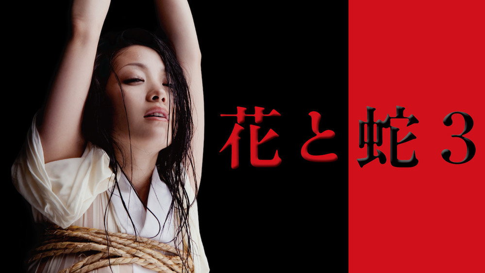 花与蛇3,花と蛇 3(2010电影)