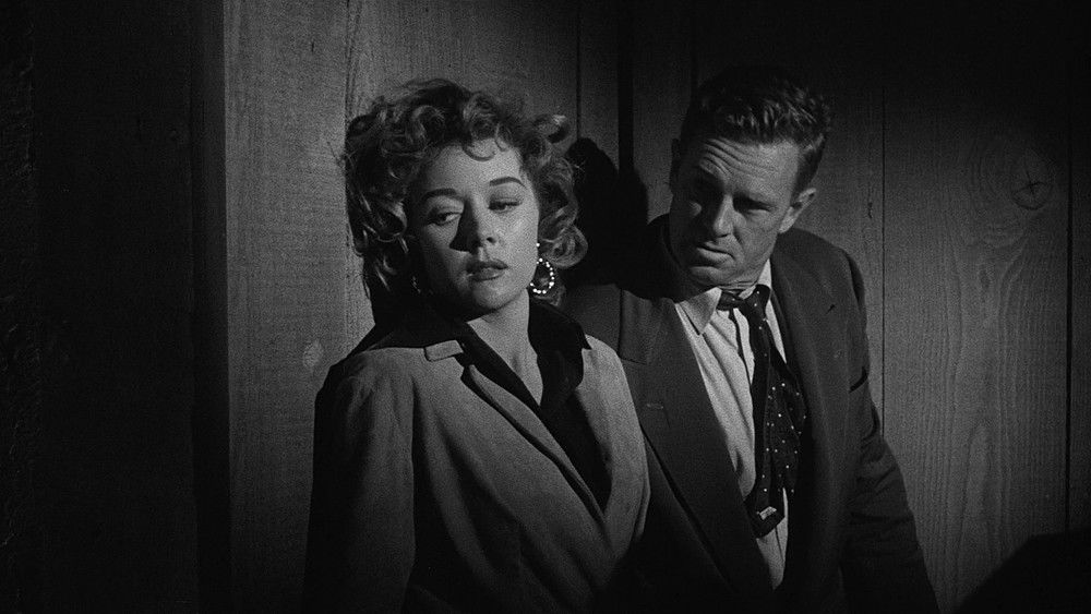 凶枪血影,Naked Alibi(1954电影)