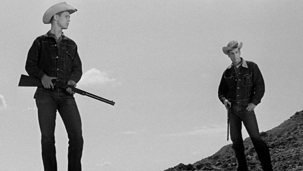 原野铁汉,Hud(1963电影)