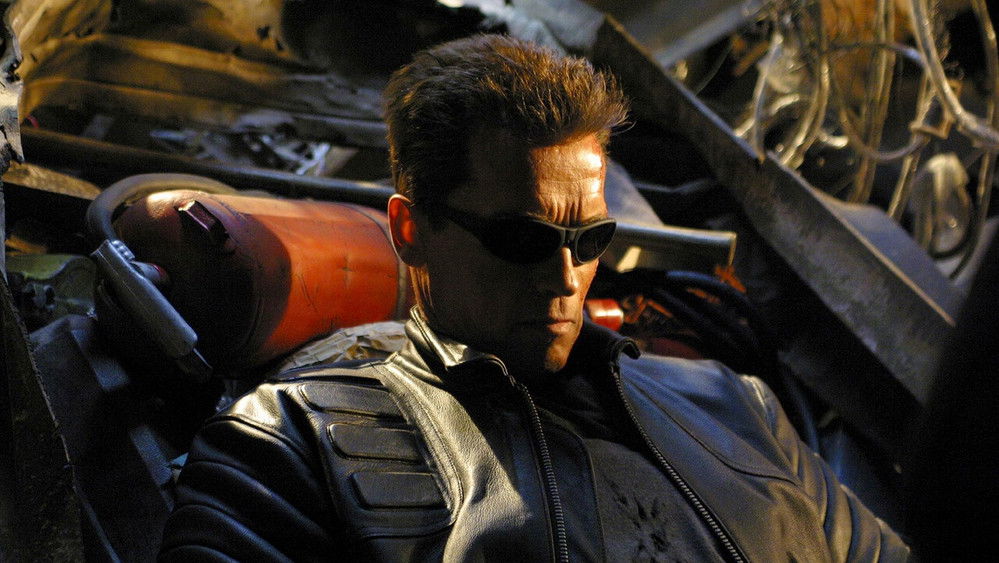 终结者3：机器的觉醒,Terminator 3: Rise of the Machines(2003电影)