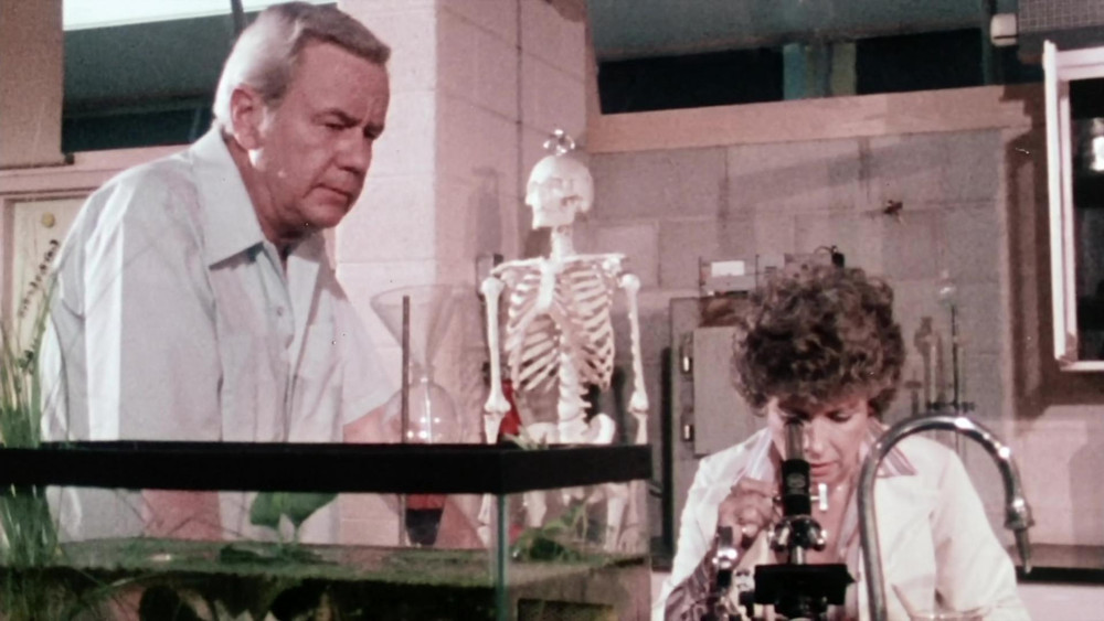 沼泽,Bog(1979电影)