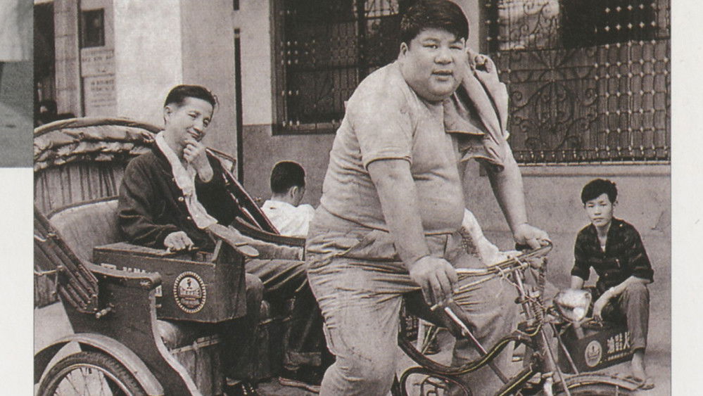 王哥柳哥游台湾（上）,王哥柳哥遊台灣（上集）(1959电影)