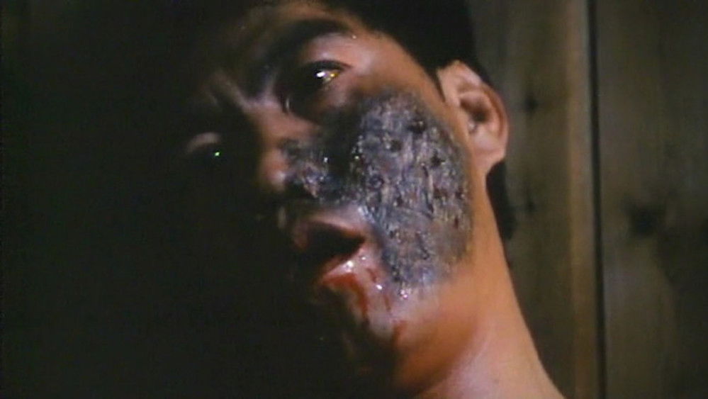 猛鬼煞星,俾鬼玩(1992电影)