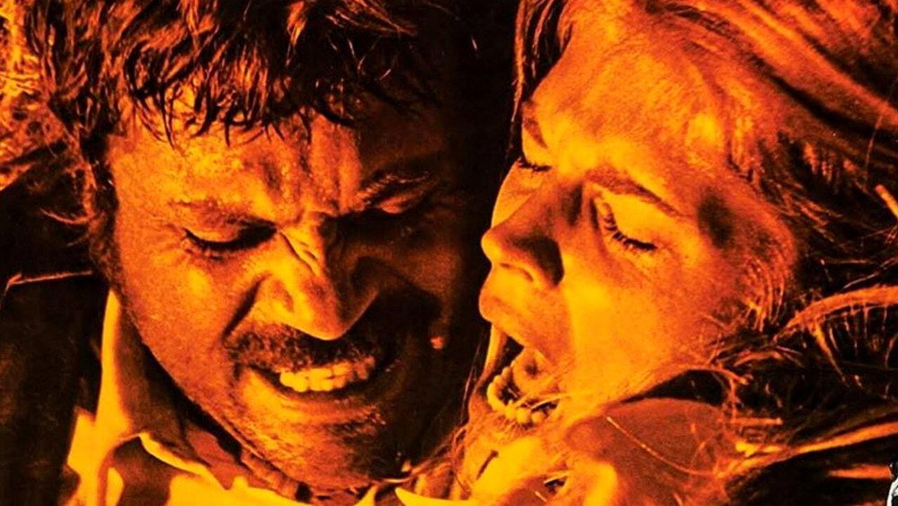 赶尽杀绝,The Hunting Party(1971电影)