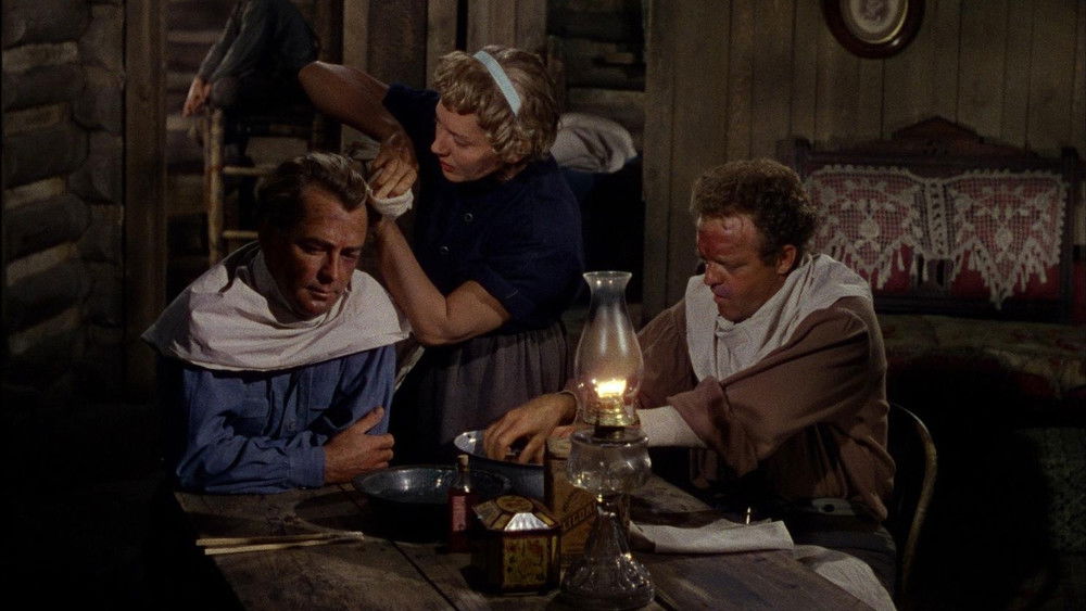 原野奇侠,Shane(1953电影)