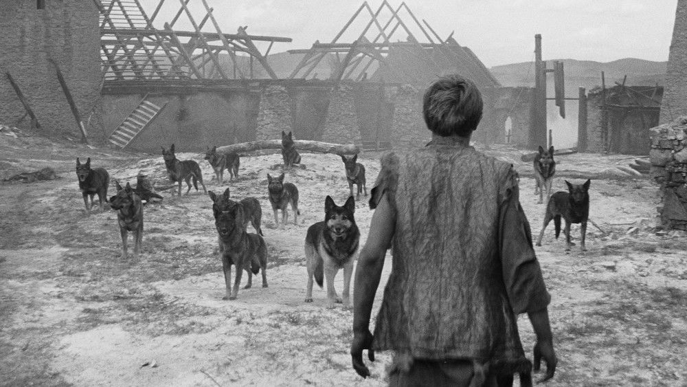 乱世英豪,Marketa Lazarová(1967电影)