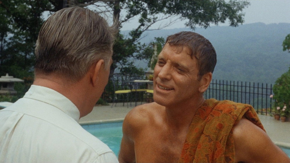 浮生录,The Swimmer(1968电影)