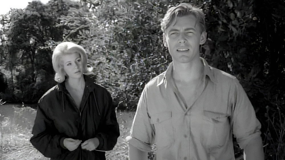 罗娜,Lorna(1964电影)