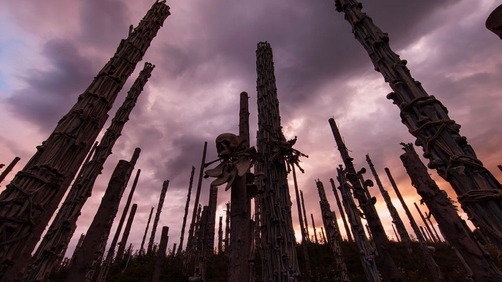 惊变28年2：白骨圣殿,28 Years Later: The Bone Temple(2026电影)