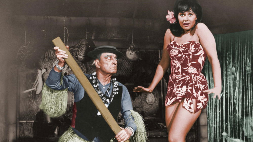 装满比基尼,How to Stuff a Wild Bikini(1965电影)