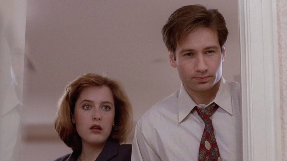 X档案,The X-Files(1993电视剧集)