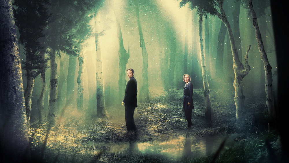 X档案,The X-Files(1993电视剧集)