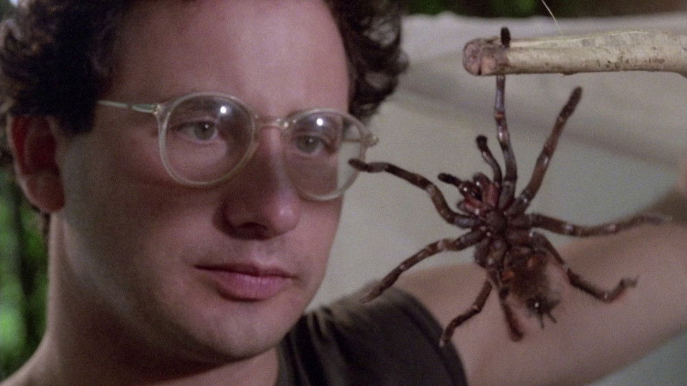 人食人实录2：绿色地狱,Paradiso Infernale(1988电影)