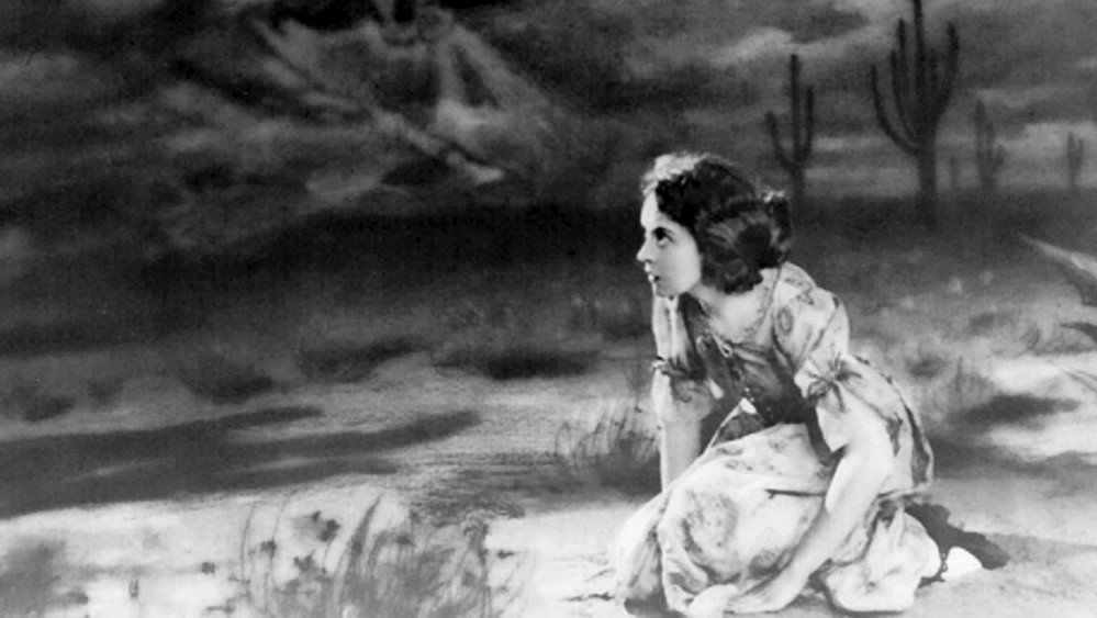 风,The Wind(1928电影)