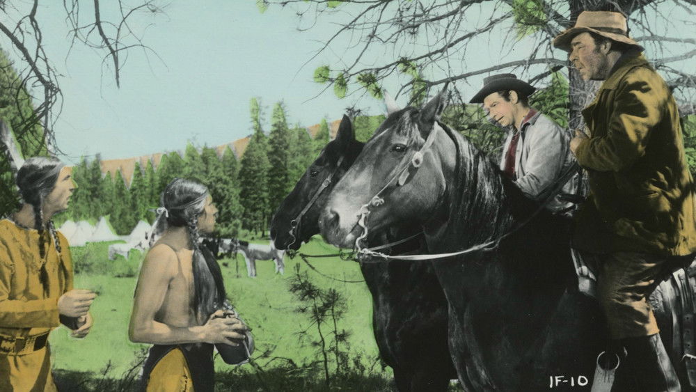 印第安勇士,The Indian Fighter(1955电影)