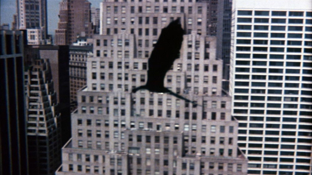 翼龙,Q(1982电影)