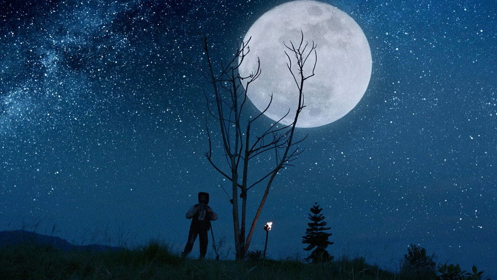 恶之繁花,Luz(2019电影)