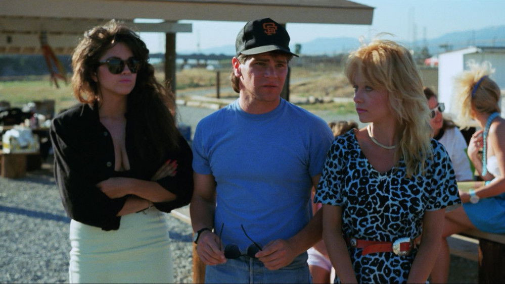 金牌女警,Vice Academy(1989电影)