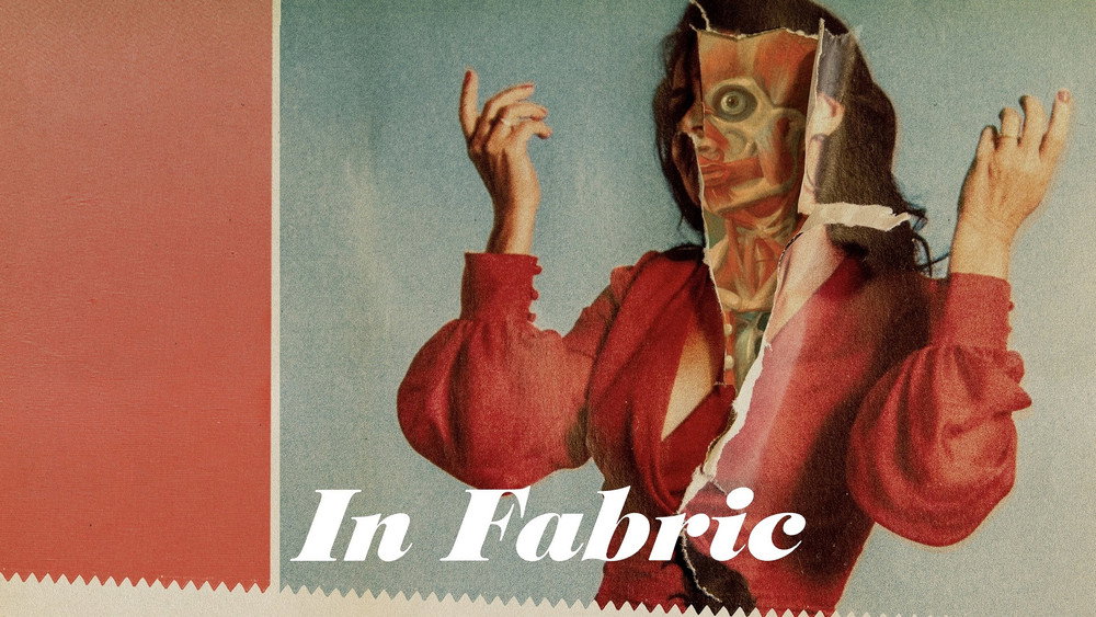 织物,In Fabric(2018电影)