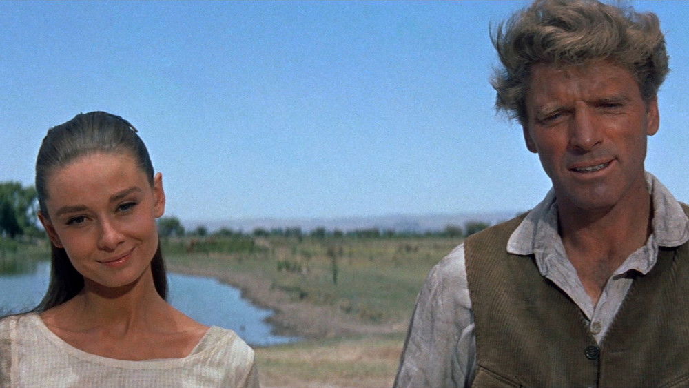 恩怨情天,The Unforgiven(1960电影)