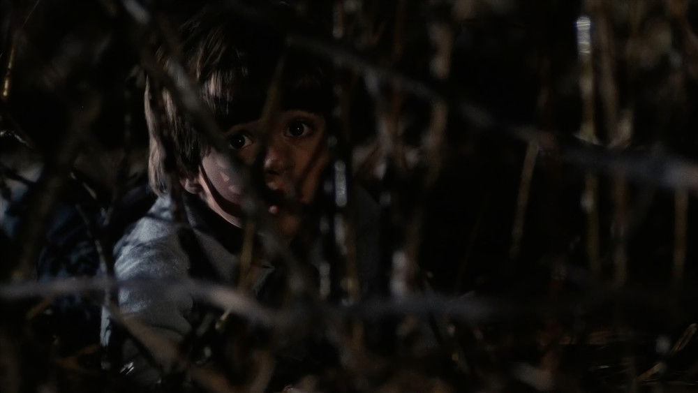 平安夜,杀人夜,Silent Night, Deadly Night(1984电影)