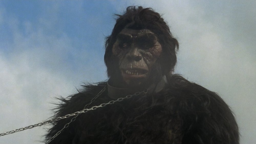 猩猩王(1977电影)