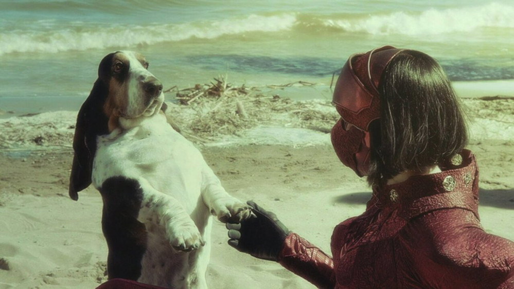 最后的德鲁伊：加尔姆战争,Garm Wars: The Last Druid(2014电影)