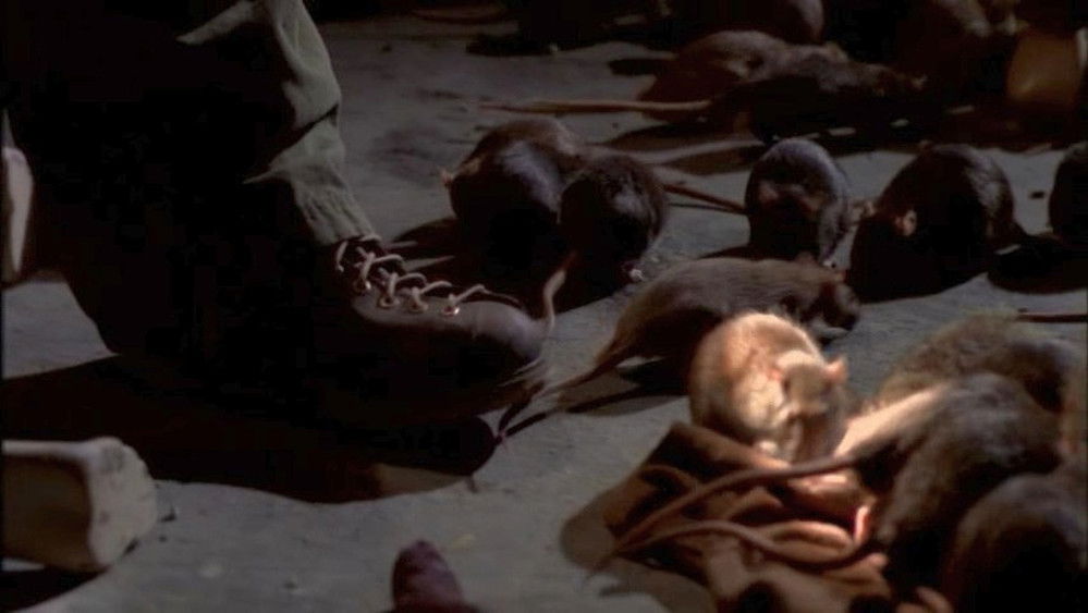 灭鼠大战,The Rats(2002电影)