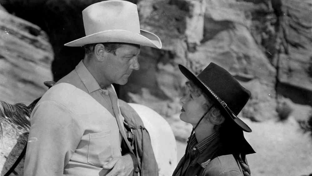 独臂屠龙,Ramrod(1947电影)