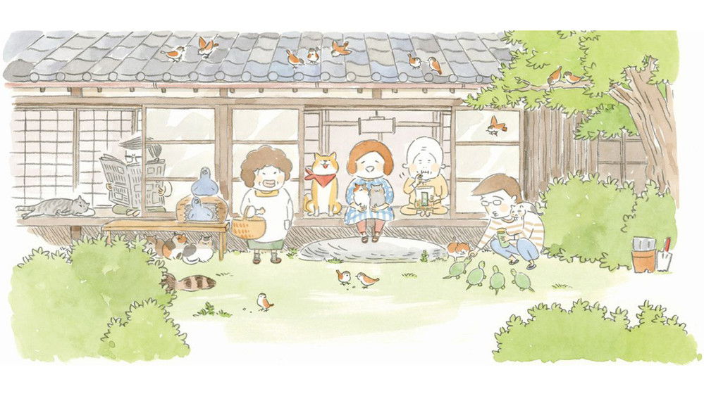 豆豆猫,まめね(2018日本动漫)