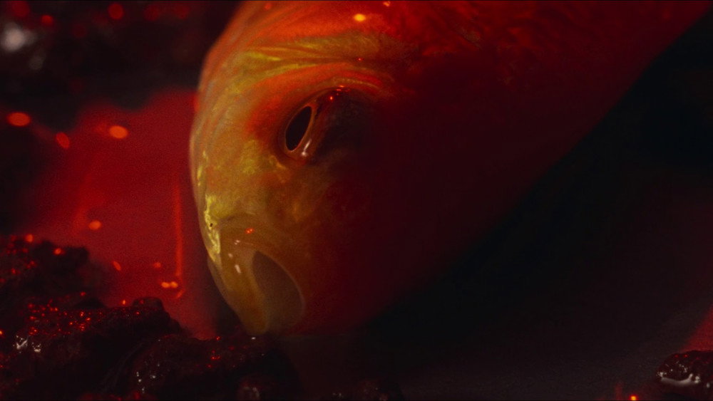 全面回忆,Total Recall(1990电影)