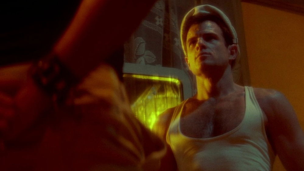 雾港水手,Querelle(1982电影)