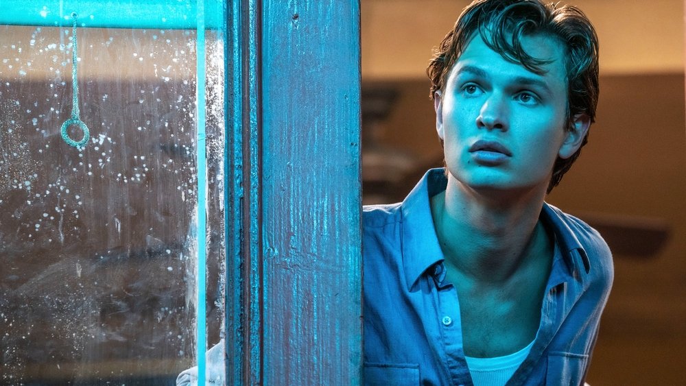 西区故事,West Side Story(2021电影)