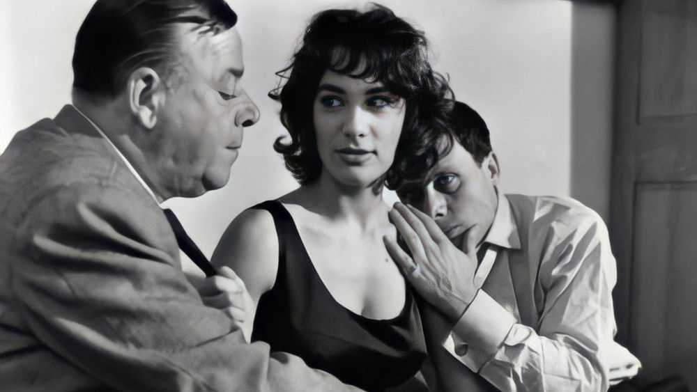 好女人们,Les bonnes femmes(1960电影)