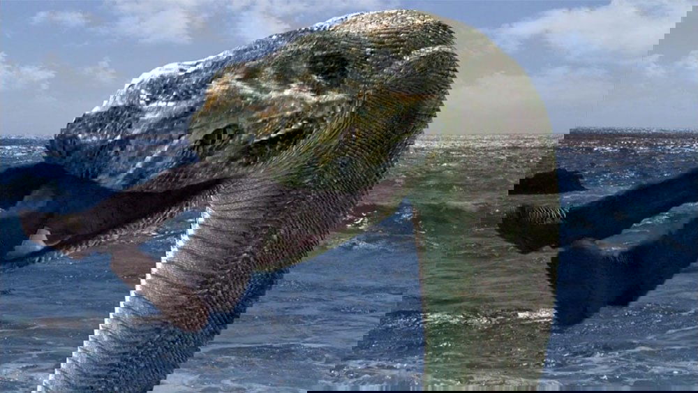 科莫多龙vs金刚巨蟒,Komodo vs. Cobra(2005电影)