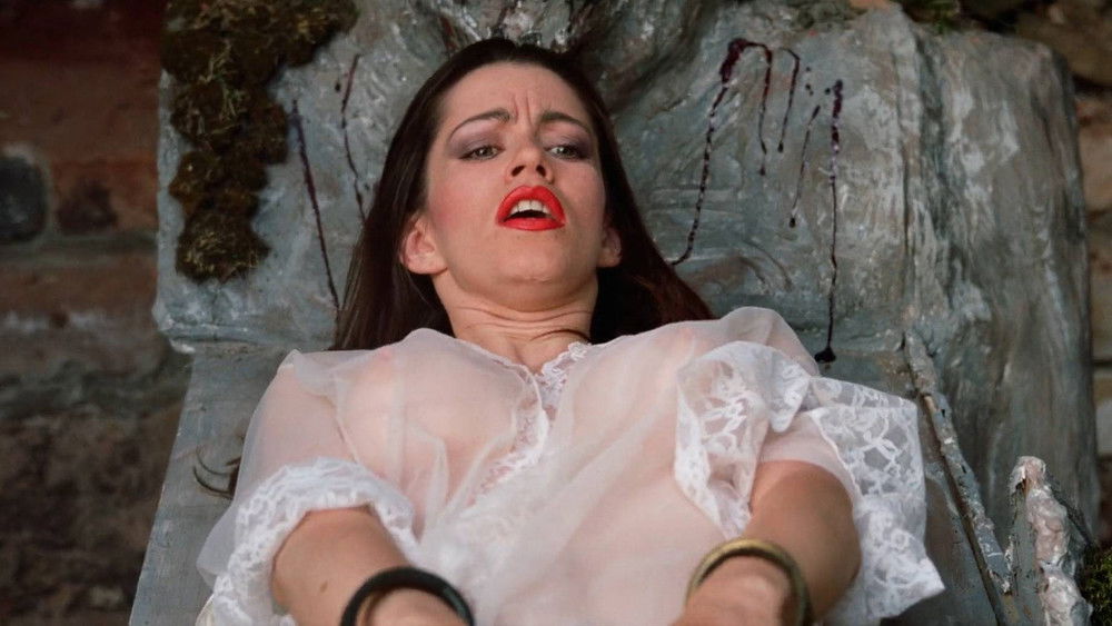 超时空悍将,Cyber Vengeance(1995电影)