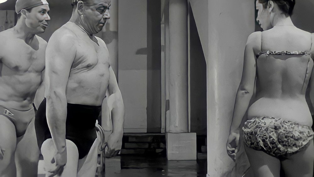 好女人们,Les bonnes femmes(1960电影)